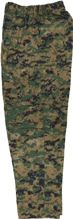 DIGITAL CAMO PANTS