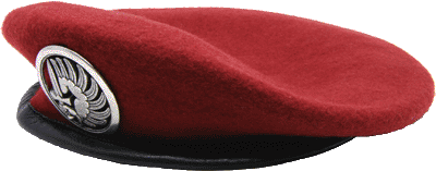 Ｆフランス軍＊ＦＬＬ自由フランス軍＊レジスタンスバッジ（実物） Fフランス軍＊FLL自由フランス軍＊レジスタンスバッジ（実物）