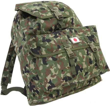 BACK PACK
