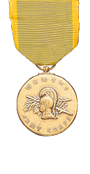 レア物！英国勲章・The India Service Medal 19391945 (United Kingdom
